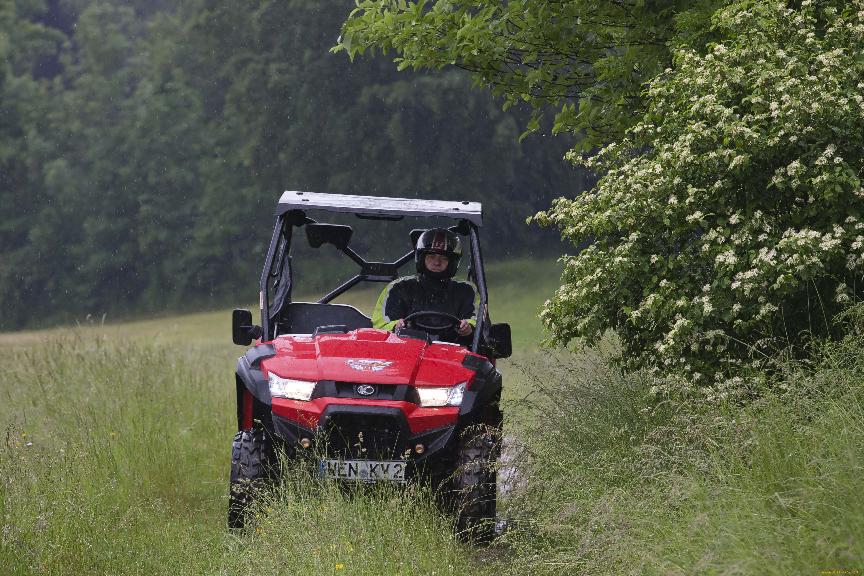 , , kymco